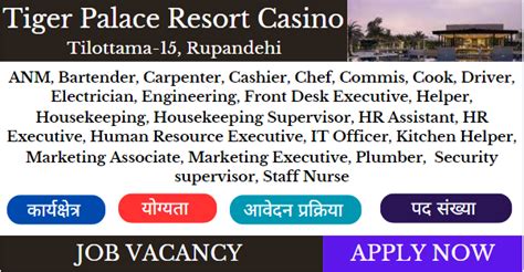 tiger palace resort vacancy